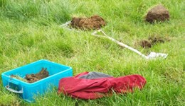 Introducing a multi-cut silage system